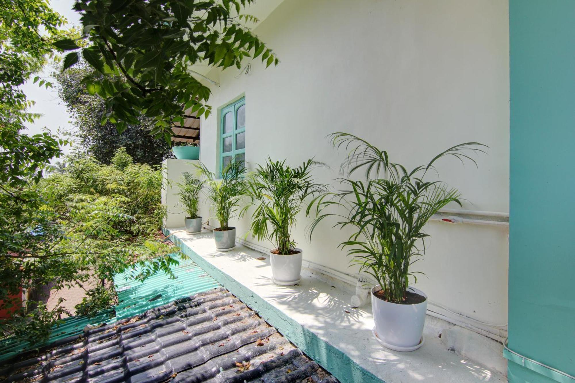 Comfort Holiday Home Baga Ngoại thất bức ảnh